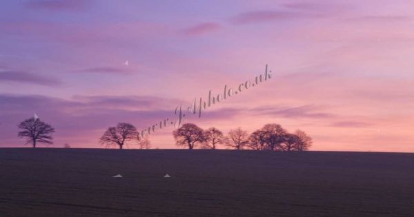 Dawn near Banbury, Oxon